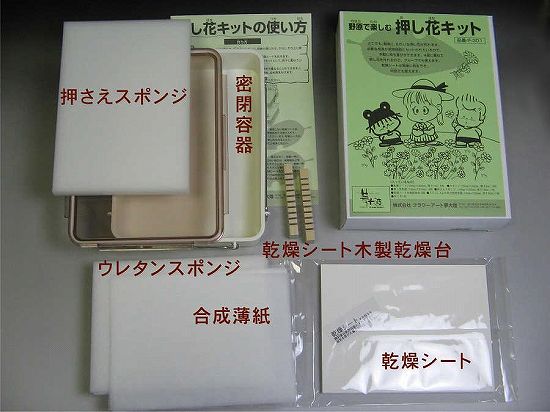 母の日特集【押し花キットＬサイズ保存容器Ｌサイズ割引セット】イ